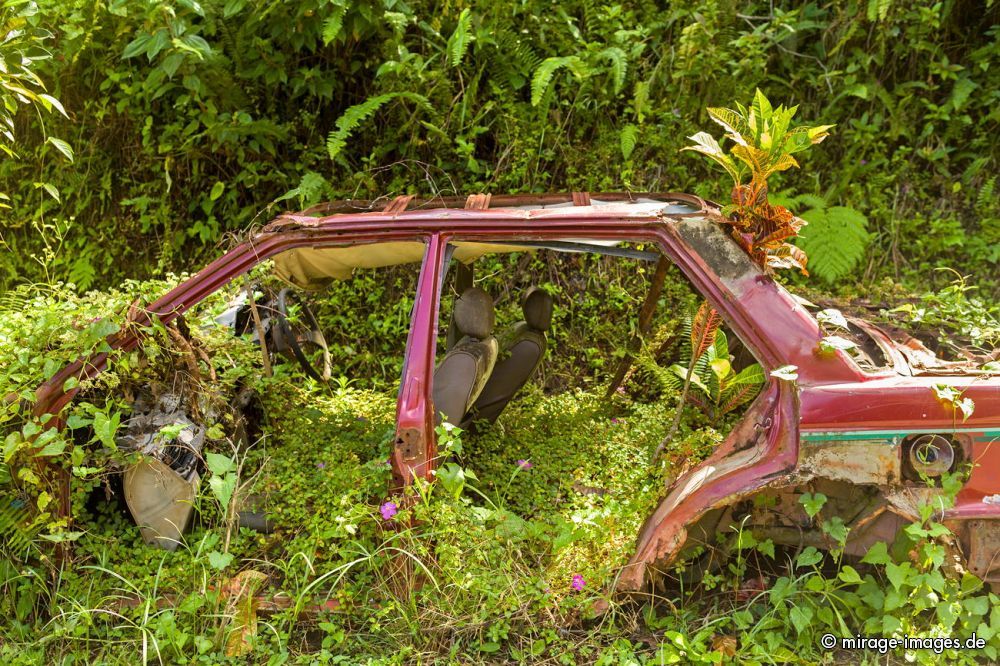 Scrap Car
Schlüsselwörter: Verfall, morbid, Zeit, Auto, Verkehr, Transport, Rost, Schmutz, verfallen, Schrott, pittoresk, gebraucht, Automobil, ausgedient, Wrack, Ökologie, Autowrack, Patina, alt, grün, rostig, verlassen, Metall, Stahl, Eisen, allein, Alter, Abfall, cars1,