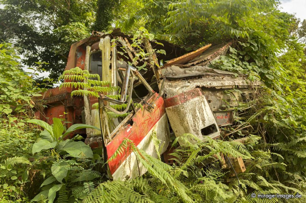 Scrap Car
Schlüsselwörter: Verfall, morbid, Zeit, Auto, Verkehr, Transport, Rost, Schmutz, verfallen, Schrott, pittoresk, gebraucht, Automobil, ausgedient, Wrack, Ökologie, Autowrack, Patina, alt, grün, rostig, verlassen, Metall, Stahl, Eisen, allein, Alter, Abfall, cars1,