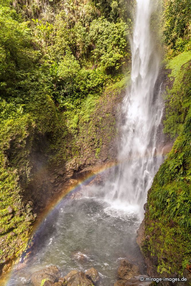 Middelham Falls
Schlüsselwörter: Wasserfall, üppig, Vegetation, dicht, Wasser, Regenwald, Dschungel, ökologisch, fliessen, fruchtbar, gesund, feucht, nass, idyllisch, Leben, Harmonie, weich, wuchern, Dickicht, Abenteuer, Zauber, Magie, malerisch, natürlich, Schönheit, frisch, empfind