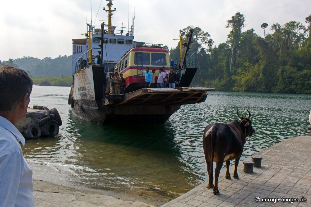 Middle Andaman
Schlüsselwörter: Insel Strand Sonne Meer Erholung Natur Wärme Sand Tourismus Traum romantisch arm tropisch