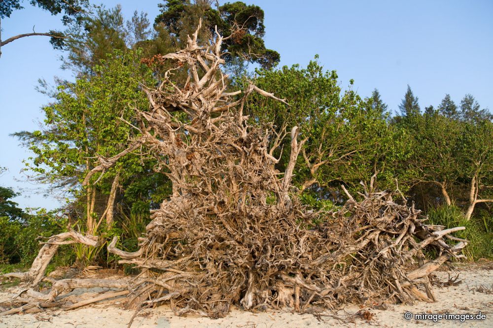 Wandoor Beach
Schlüsselwörter: Insel Strand Sonne Meer Erholung Natur Wärme Sand Tourismus Traum romantisch arm tropisch