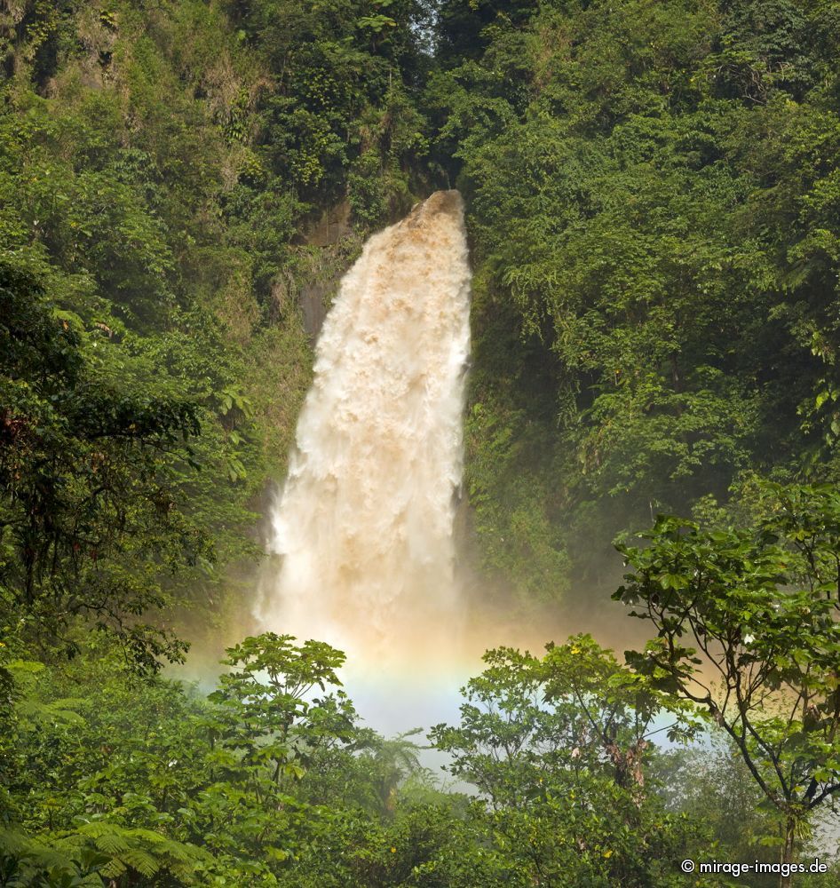 After the Rain
Trafalgar Falls
Schlüsselwörter: Wasserfall, üppig, Vegetation, dicht, Wasser, Regenwald, Dschungel, ökologisch, fliessen, fruchtbar, gesund, feucht, nass, idyllisch, Leben, Harmonie, weich, wuchern, Dickicht, Abenteuer, Zauber, Magie, malerisch, natürlich, Schönheit, frisch, empfind
