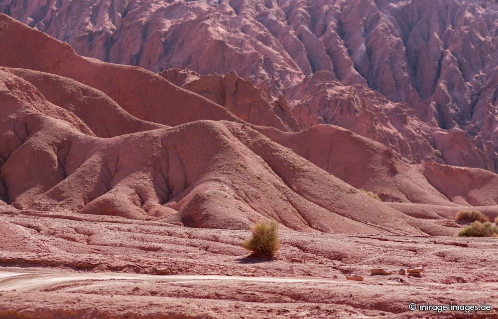 Red
Valle del Arcoiris
Schlüsselwörter: spärlich, Vegetation, Landschaft, Geologie, karg, Schönheit, Naturschönheit, Wüste, Ruhe, Einsamkeit, Leere, Stille, Naturschutz, geschützt, Sonne, Weite, Erhabenheit, entlegen, sauber, rein, Natur, archaisch, ursprünglich, trocken, dürr, arid, was