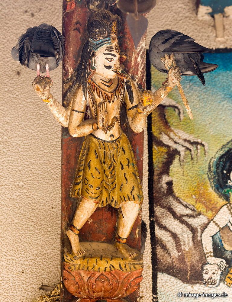 Holy Pigeons at Mahendreswor Temple
Durbar Square
