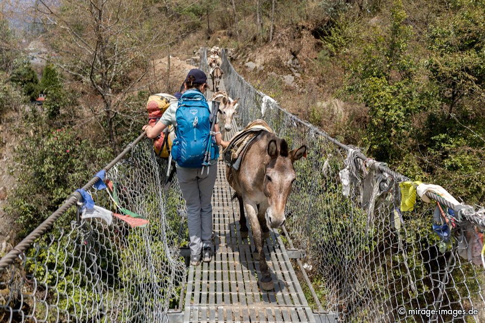 Mulis on the Bridge
Chaurikharka - Everest Base Camp Trekking Route

