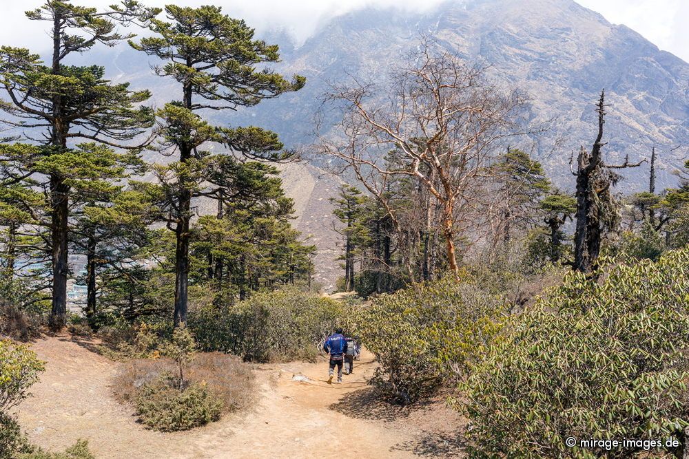 Beautiful Path
Sagarmatha National Park
