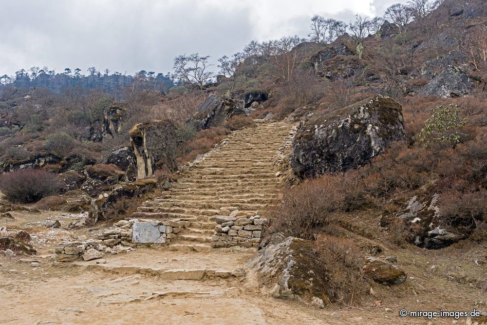 Stairway
Khumjung - Everest Base Camp Trekking Route
