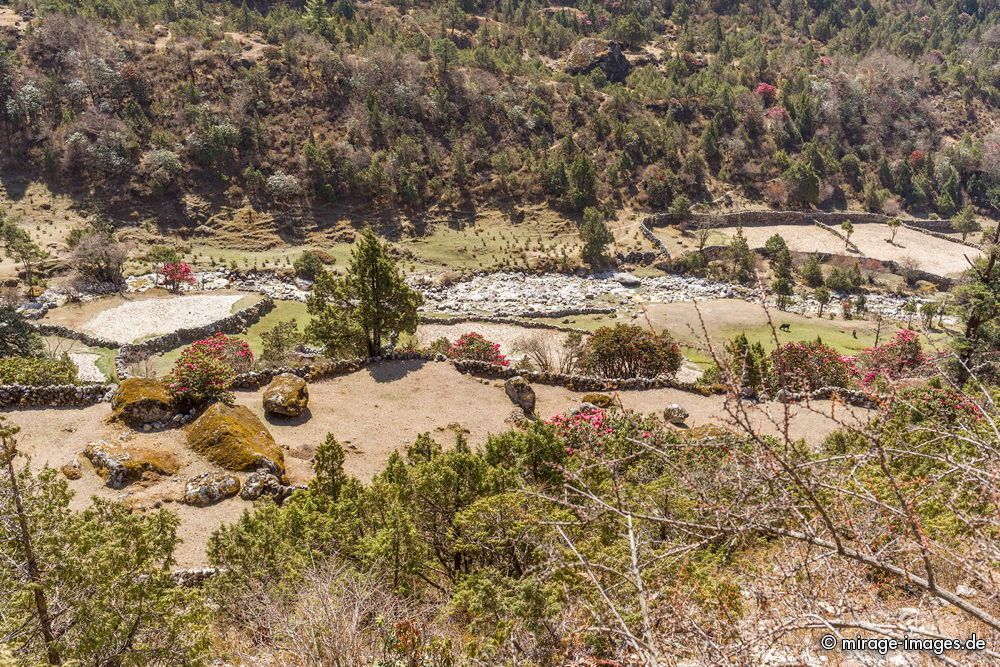 Garden of Shangri-La
Sagarmatha National Park
