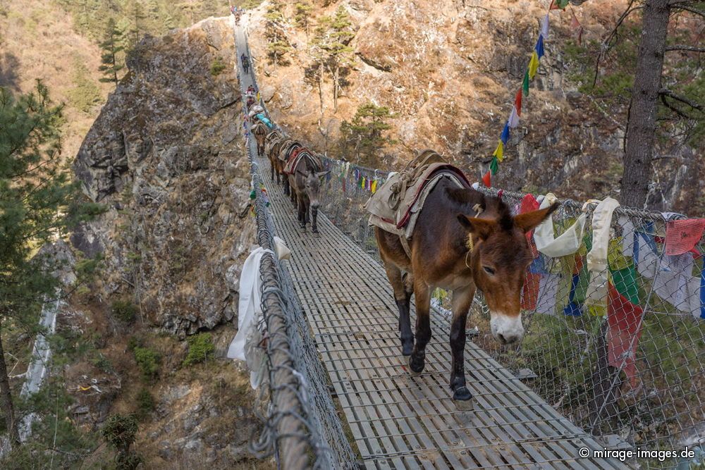 Mulis crossing the double larja bridge
Chaurikharka - Everest Base Camp Trekking Route
