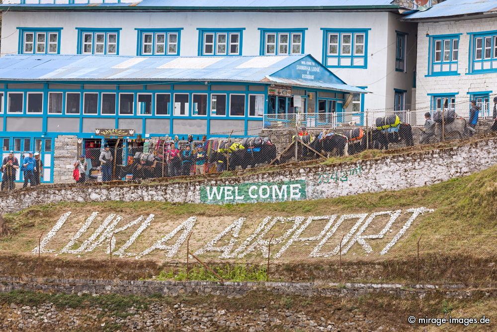 Yaks carrying goods coming from Kathmandu
Luka Airport
