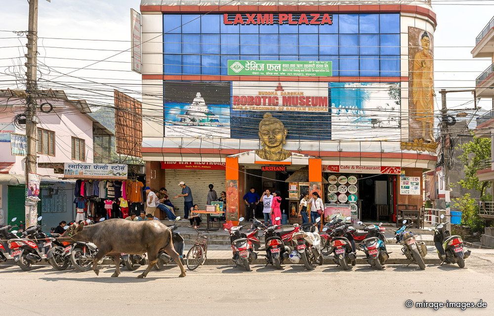 Robotic Museum
Pokhara
