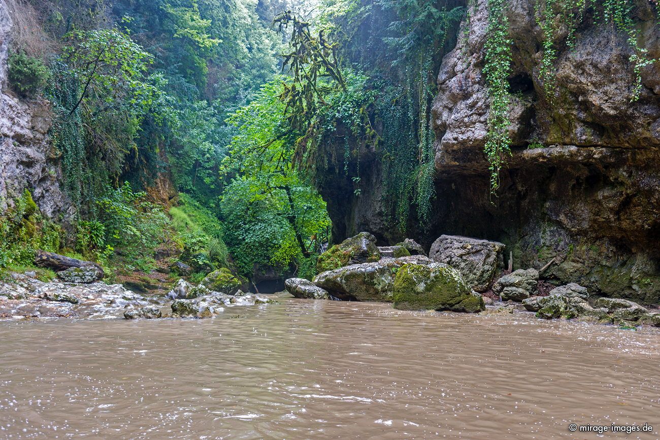 Hidden treasure Tine de conflens 
La Sarraz
