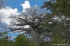 DW07_6477.jpg