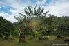 DW07_7178.jpg