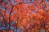 DW07_7976.jpg