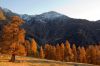 DW11_3351.jpg