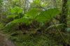 DW16_7081.jpg