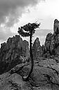 DW18_3210~0.jpg
